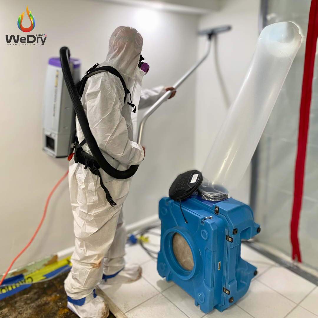 mold remediation 